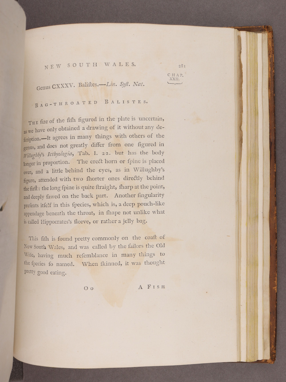Page 281